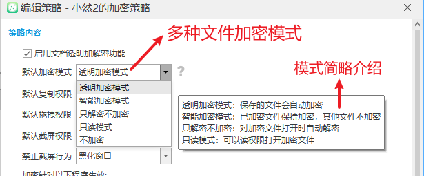 数据安全没保障?2026年一款高好评数据防泄密软件,企业选型清单!(图2) 多种文件加密模式.png