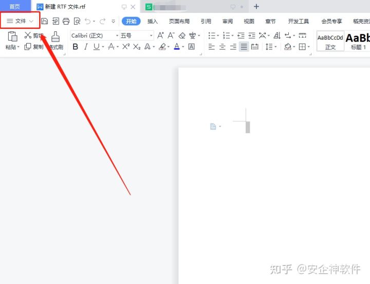 怎么对rtf文档进行加密