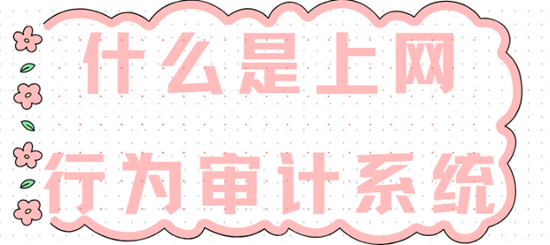 什么是上网行为审计系统？它有哪些功能?