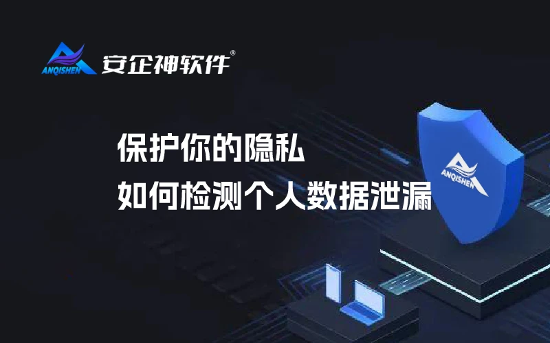 保护你的隐私：如何检测个人数据泄漏