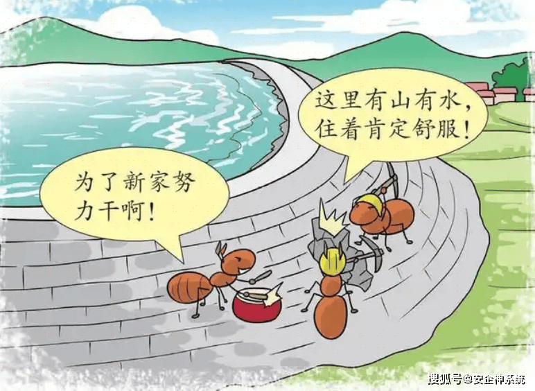 员工飞单怎么办？怎么解决员工飞单?