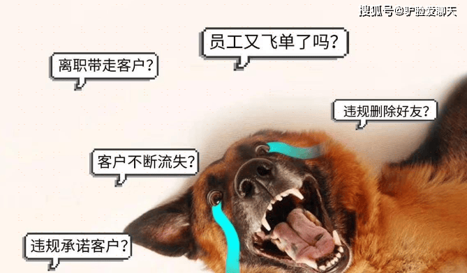 飞单被公司发现了怎么办