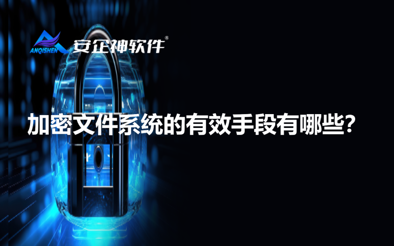 加密文件系统的有效手段有哪些？