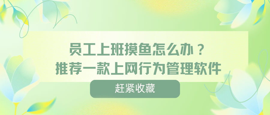 员工上班摸鱼怎么办？推荐一款上网行为管理软件，帮你高效管理员工