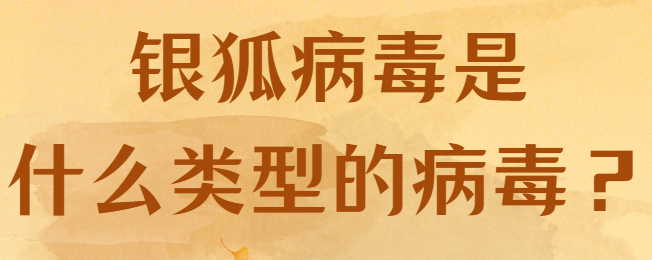 银狐病毒是什么类型的病毒？如何防范银狐病毒？2025年4 个小妙招分享来了！