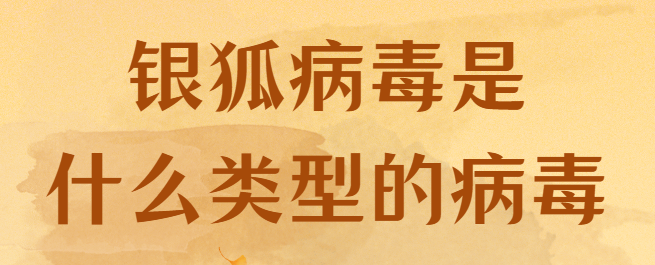 2025科普:银狐病毒是什么类型的病毒?怎么清除？银狐病毒专杀工具有哪些？