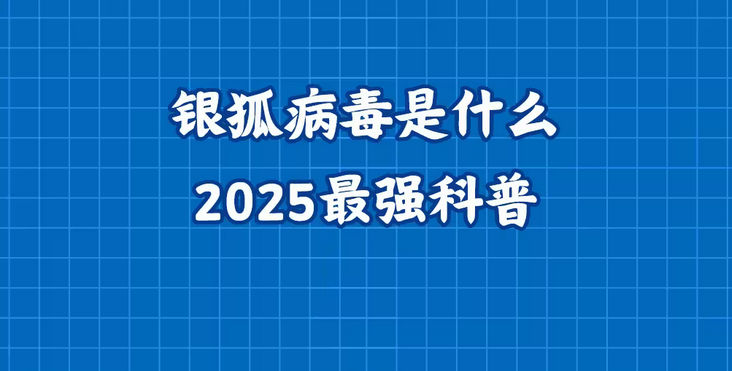银狐病毒是什么？2025最强科普，警惕“银狐”病毒来袭
