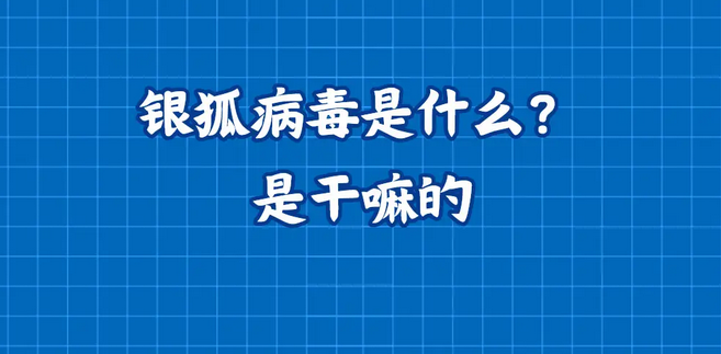 银狐病毒是什么？是干嘛的？银狐木马病毒怎么彻底清除？