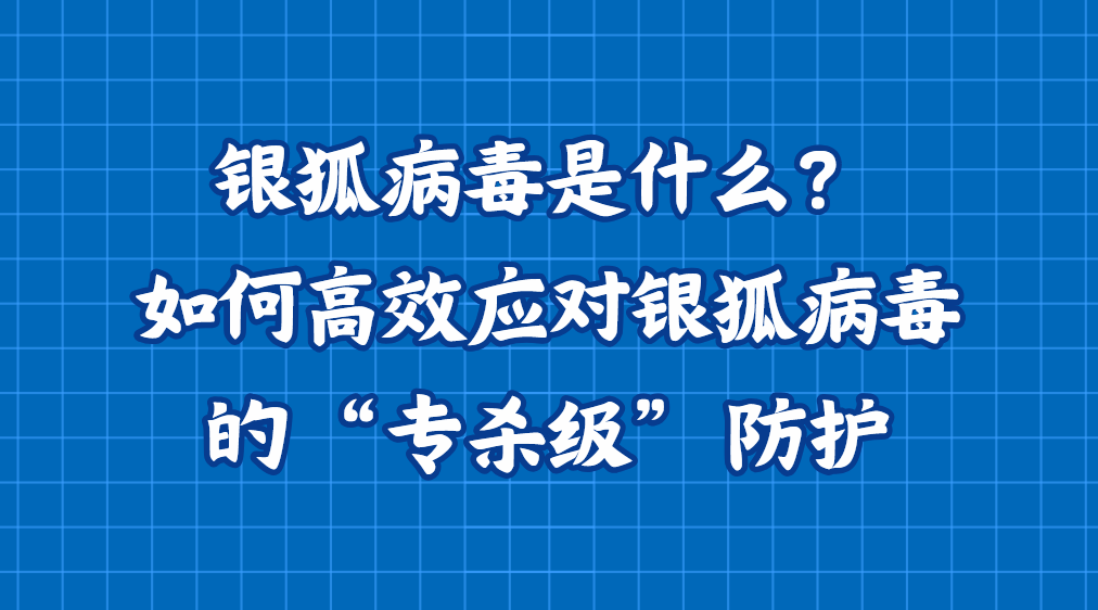 银狐病毒是什么？如何高效应对银狐病毒的 “专杀级” 防护