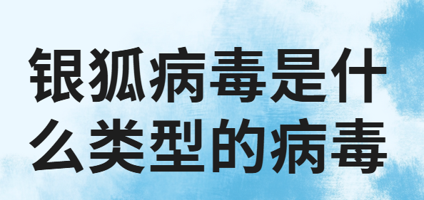 银狐病毒是什么类型的病毒？如何防范银狐病毒？小技巧分享来了！