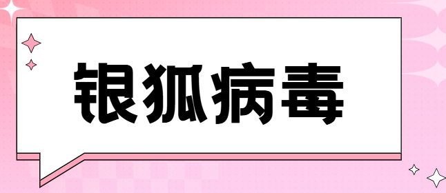 银狐病毒是什么?如何防范银狐病毒,守护企业电脑网络安全高枕无忧！