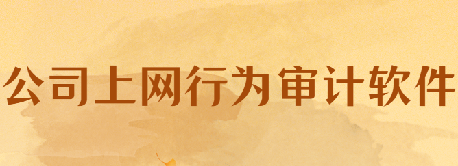 想了解员工上网行为？这款上网行为审计软件，功能详细一看就懂！