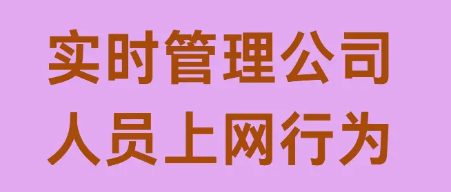  实时管理公司人员上网行为有哪些方式？4种方式任你挑选！快看！有你中意的吗？