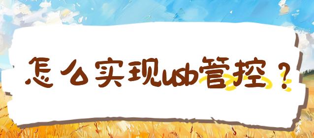 怎么实现usb管控？USB监控软件为您揭晓答案！2025年甄选！