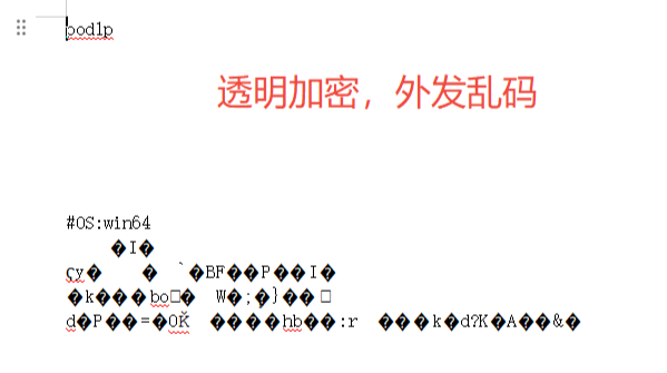 常见的数据加密软件有哪些？分享5个常用的数据加密的措施，大厂都在用！(图2)
